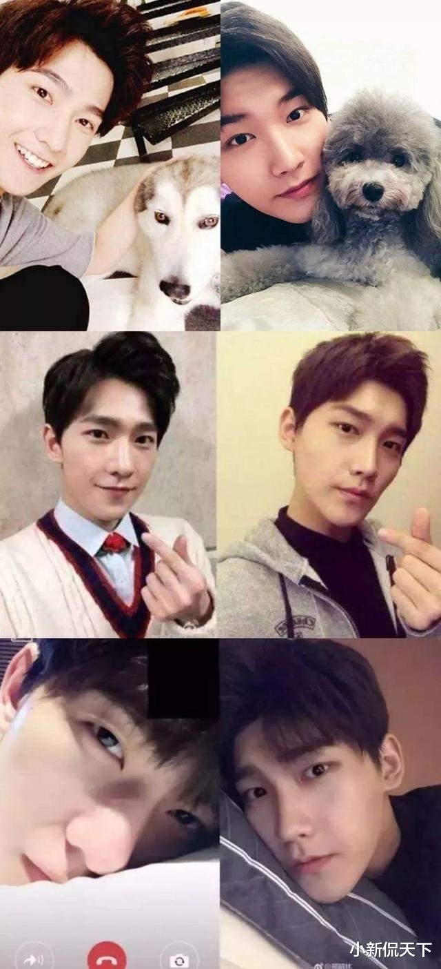 刘亦菲|这几位明星能不能学会独立行走，不要再碰瓷别人了，你们真得不像