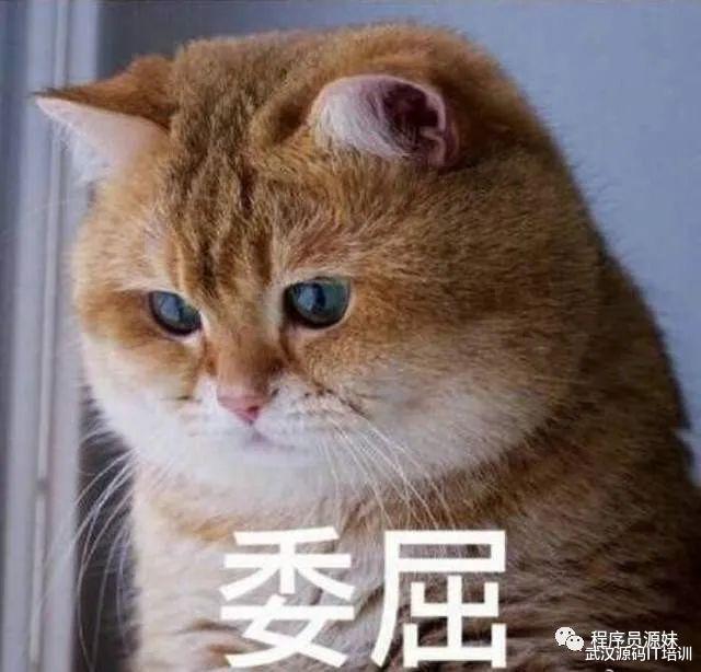 狮子座|毕业三年换四份工作，工资没超过5千，在武汉收入过万是奢望吗？