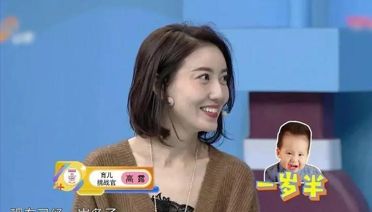 高露|高露：苏有朋苦追3年都得不到的女人，演过《知否》的“林小娘”