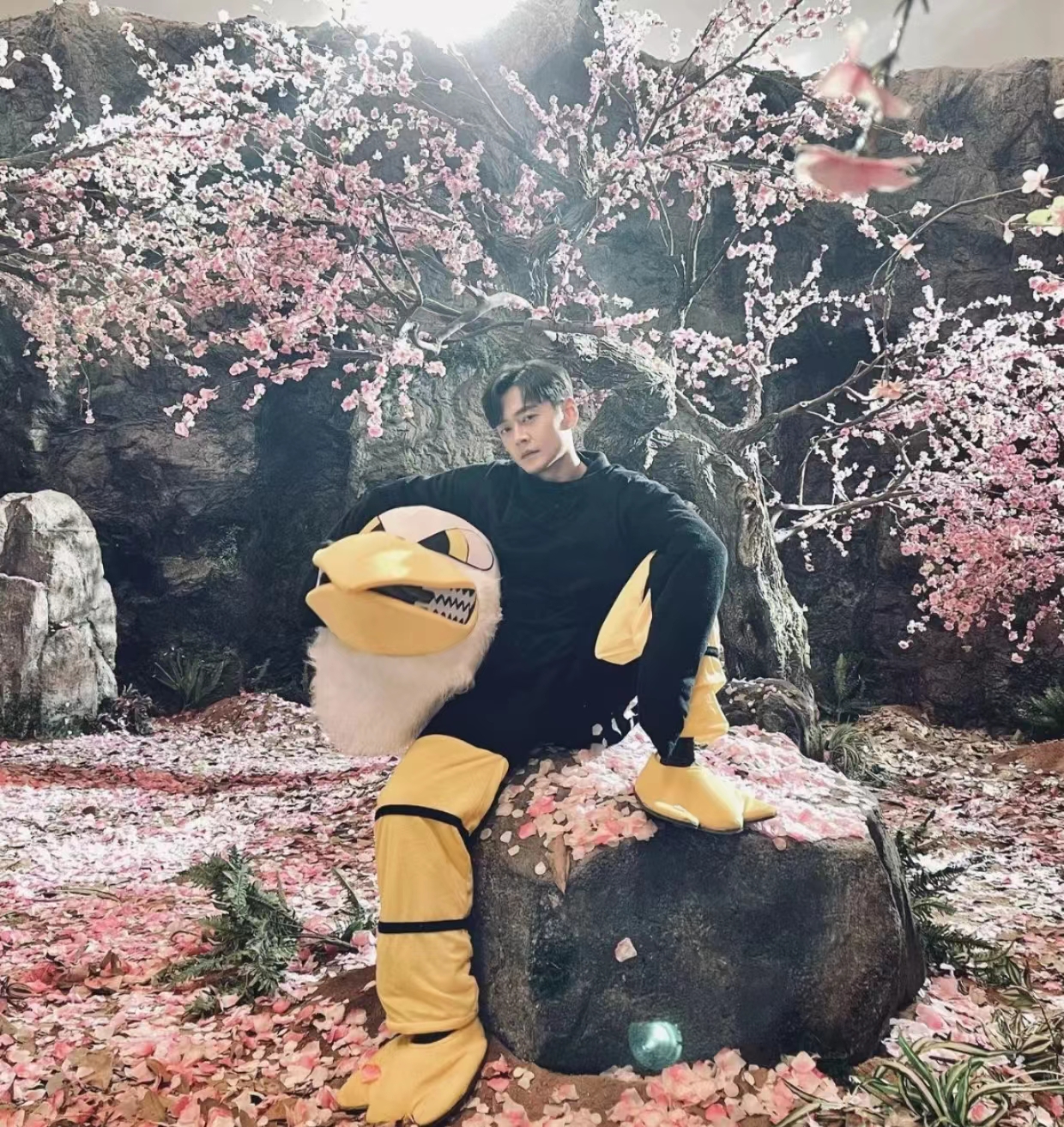 TVB|TVB高海宁版小龙女翻车，颜值输给陈妍希，网友：满屏违和辣眼睛