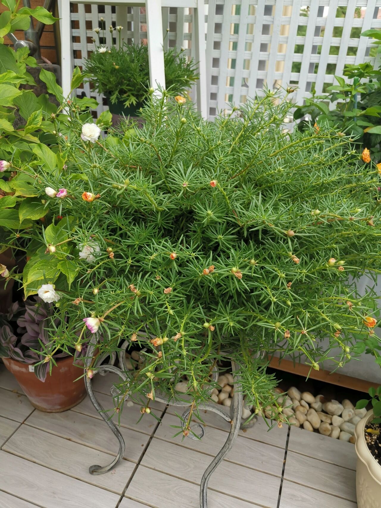 40㎡露台改造,DIY折腾成小花园,每一个角落,都美得一塌糊涂