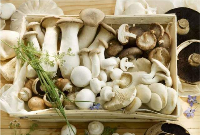 中老年人|年龄大了要管住嘴，记住“3多吃3少吃”，别不当回事，要懂得忌口