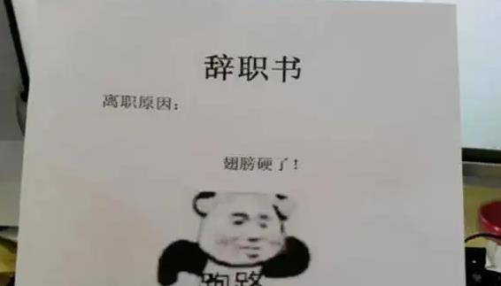 00后|00后大学生“辞职信”火了，辞职理由让领导无言以对，太直白了