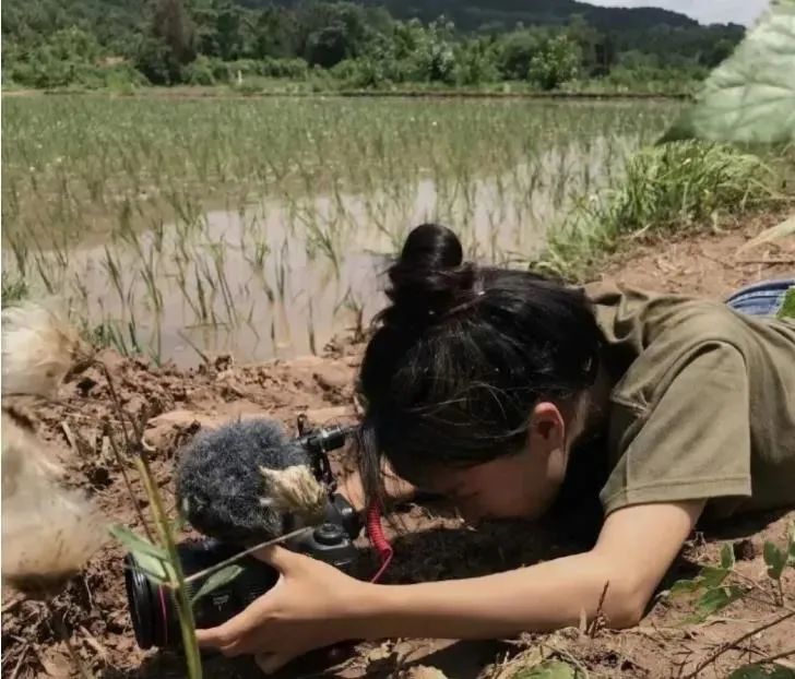 李子柒|消失近一年的天后——李子柒终于复出，背后隐藏的真相，让人难以咬牙切齿。