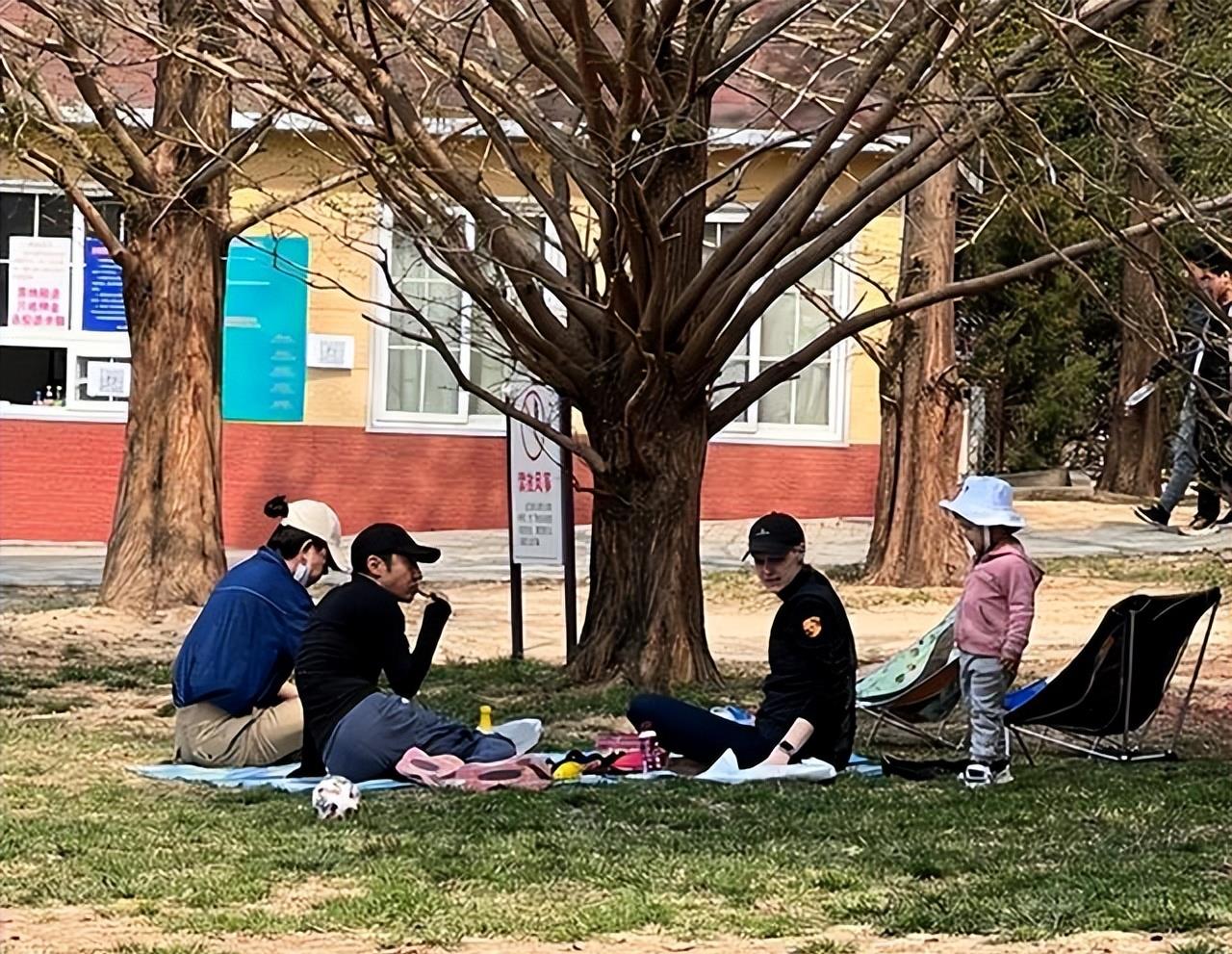 柯以柔|撒贝宁这“贵妃躺”太妖娆,洋妻子身材惊艳路人,女儿五官太精致