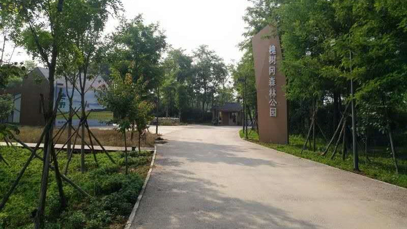 露营|身处郑州，国庆节怎么能不去槐树冈森林公园露营呢？