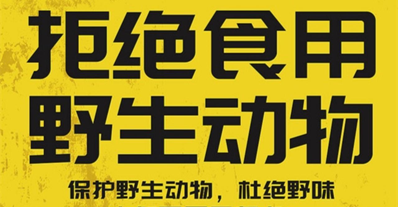 安徽渔民误捕“长江鱼王”,教科书式操作,不但没处罚还被表扬了