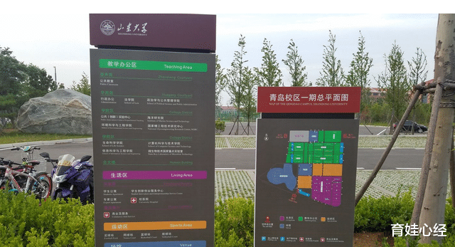 复旦大学|985大学在国外三榜排名，第3名不是复旦、交大，武大进入前10强