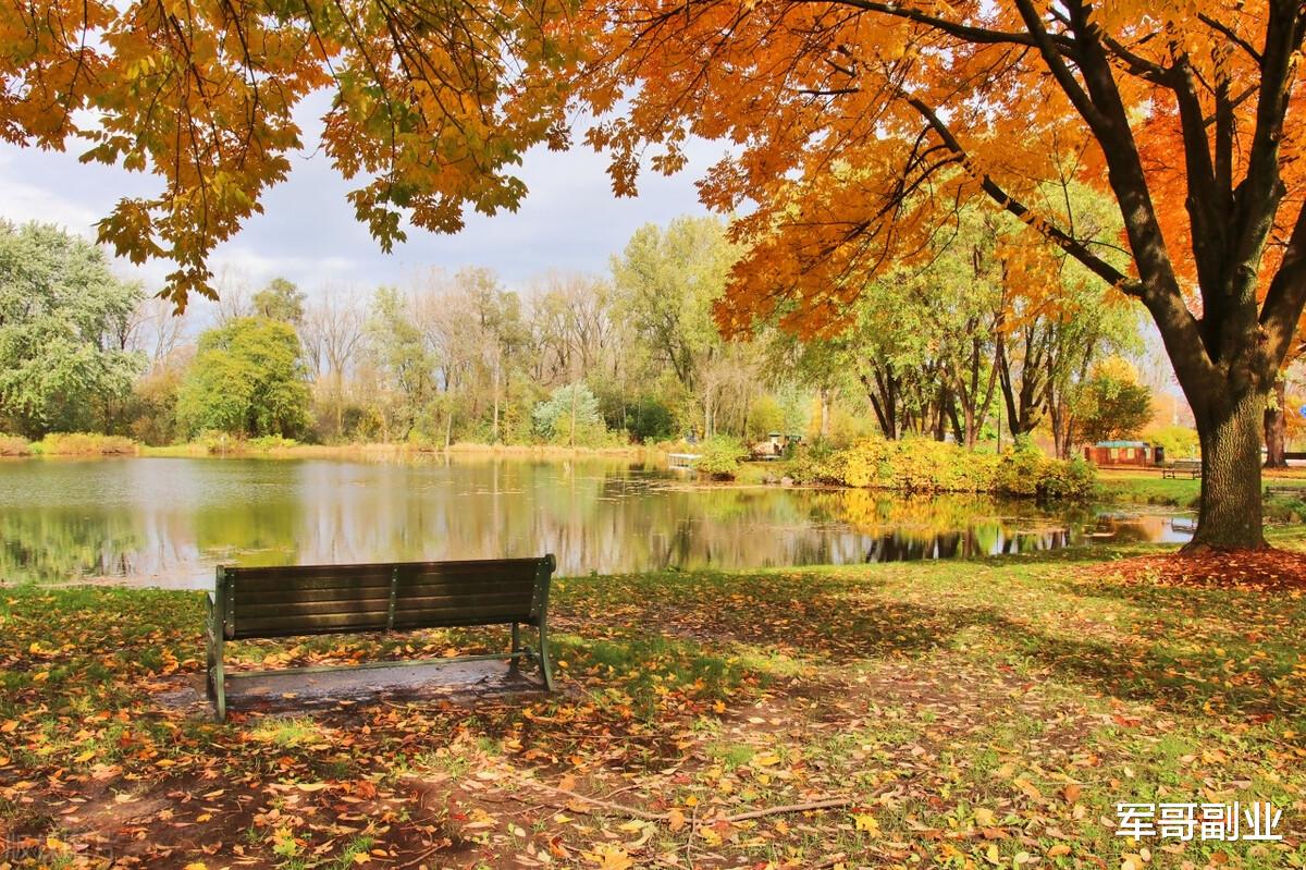 电子商务|2023年,网上搞钱的最佳方式是付费学习!