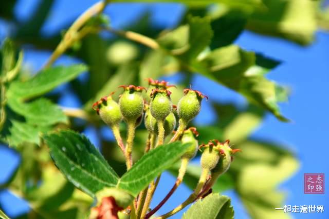 宝贝|我在甘肃旅行,发现一座宝藏小镇,里面藏着许多“宝贝”