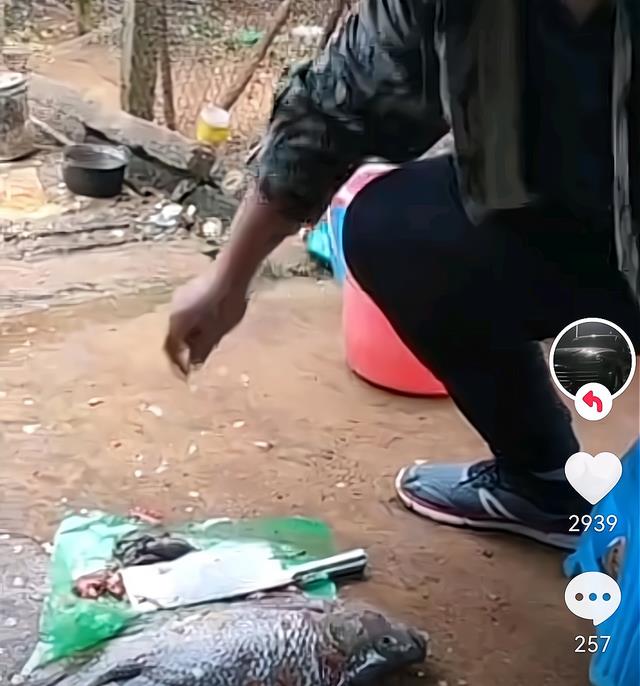 |全红婵家改善伙食！哥哥为家人准备美餐，妈妈翘着二郎腿满脸期待