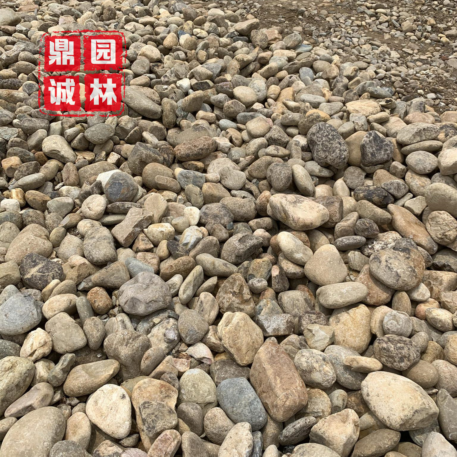 新华区|鹅卵石园林景观点缀石 庭院阳台景观造景石