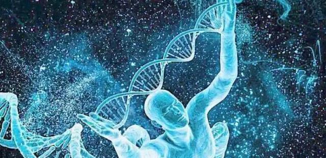 为了探索人类性行为,美国心理学家做了这些著名的学术研究