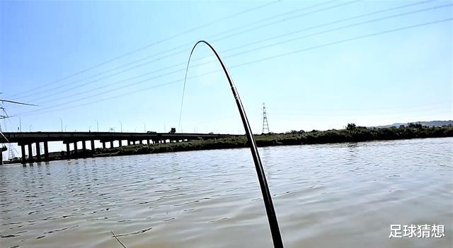 大板|春季钓鱼找不到好地方？根据地形选择钓点、钓位，野钓不迷路