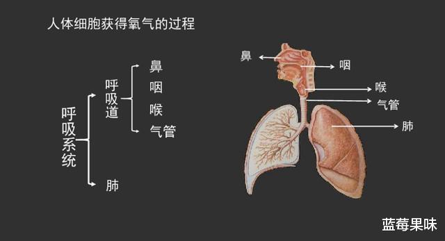 3名航天员每天要1650升氧气,执行180天任务,用的氧气从何而来?