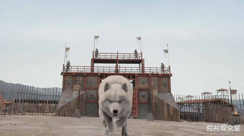 冯绍峰|《星河长明》:冯绍峰搭档彭小苒演古偶,被骂上热搜