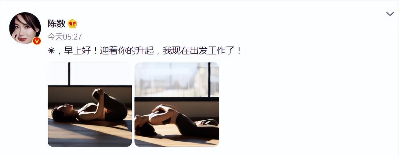 陈数|45岁陈数穿瑜伽服秀身材！平坦小腹马现抢镜，做高难度动作韧性好