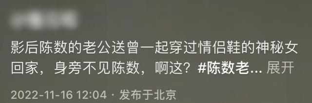 陈数|陈数老公再被曝出轨，深夜和神秘女约会送其回家