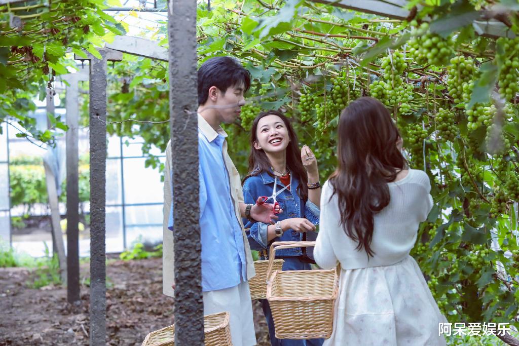 郭浩然|心动5：金佳悦的分寸感，让郭浩然左右为难，李承铉的分析很到位