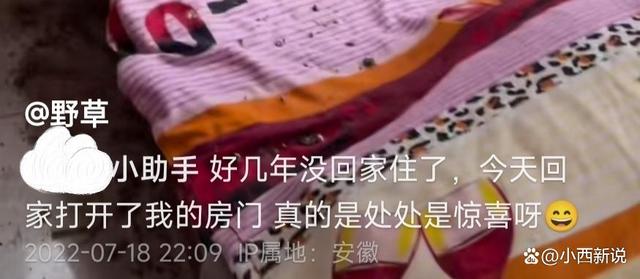 安徽一女子五年没回家,房间成了动物栖息地,网友:这家不能要了