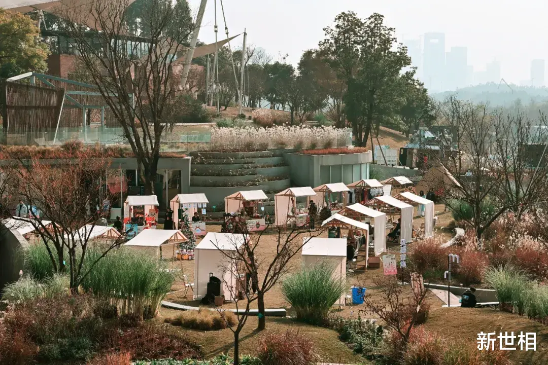 機器人|刷手機的焦慮，被這一刻徹底治愈了