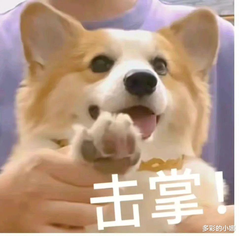 鄢颇|跟他好过的女明星，都没有好下场？