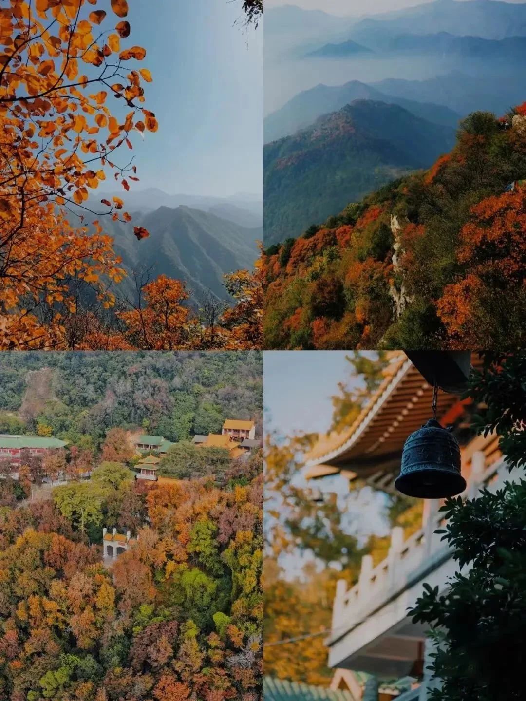 长沙|这座最不广东的广东小城，银杏不输腾冲，嗜酸又爱辣