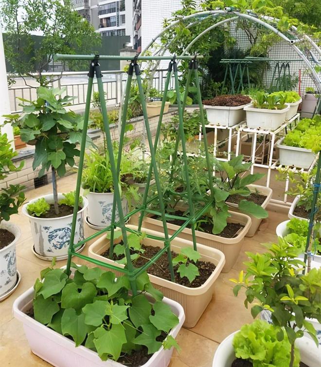 有钱人住顶楼都不用担心冬冷夏热?头回见这种设计,好实用!