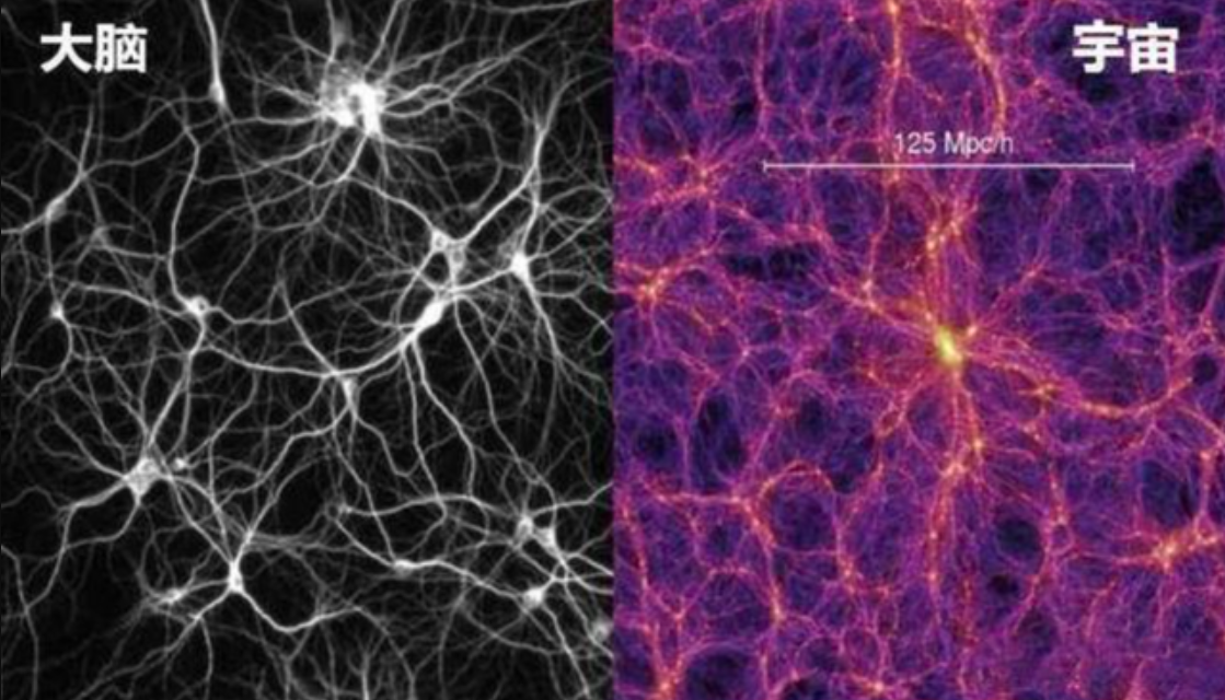 宇宙真是活的?范丘林曾发布理论:宇宙或许是一个巨大的神经网络