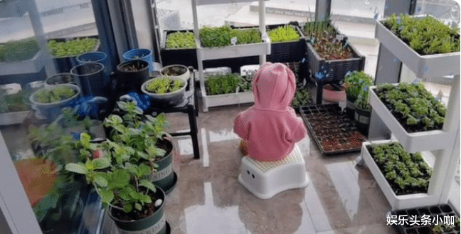 还债|官宣二胎得子！京圈公主真怀啦，全网等他俩结婚！