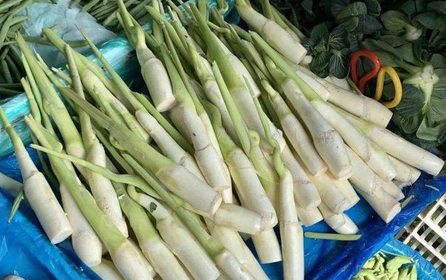 即将立秋,“水八仙”陆续上市,若有条件建议要多吃,为入秋准备