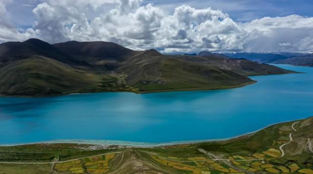 |西藏羊卓雍错湖里，8亿公斤鱼随手可捞，为啥至今无人敢吃？