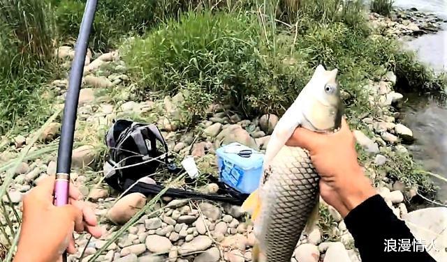 饵料|子线对钓鱼有什么影响？原来钓法、目标鱼不同，子线长短也不同