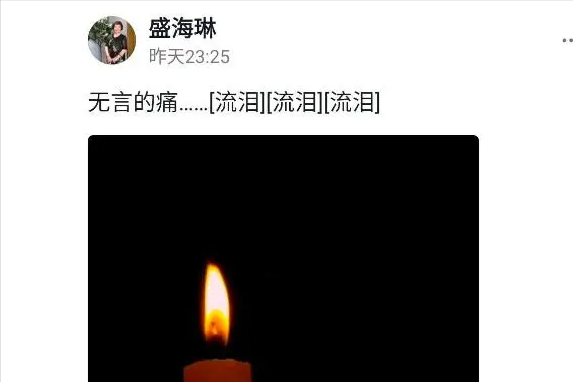 一路走好!盛海琳老公不幸去世,60岁生下双胞胎,用8年赚千万