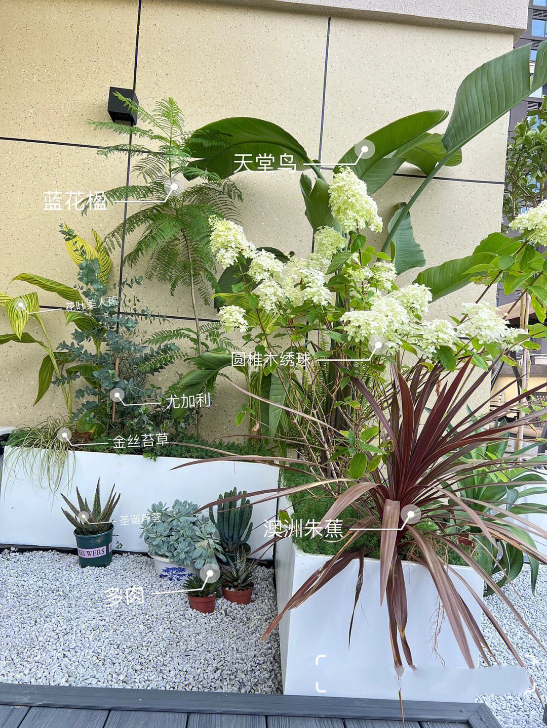 不顾反对,买了带80㎡露台的顶楼复式,打造成假日风露台空中花园