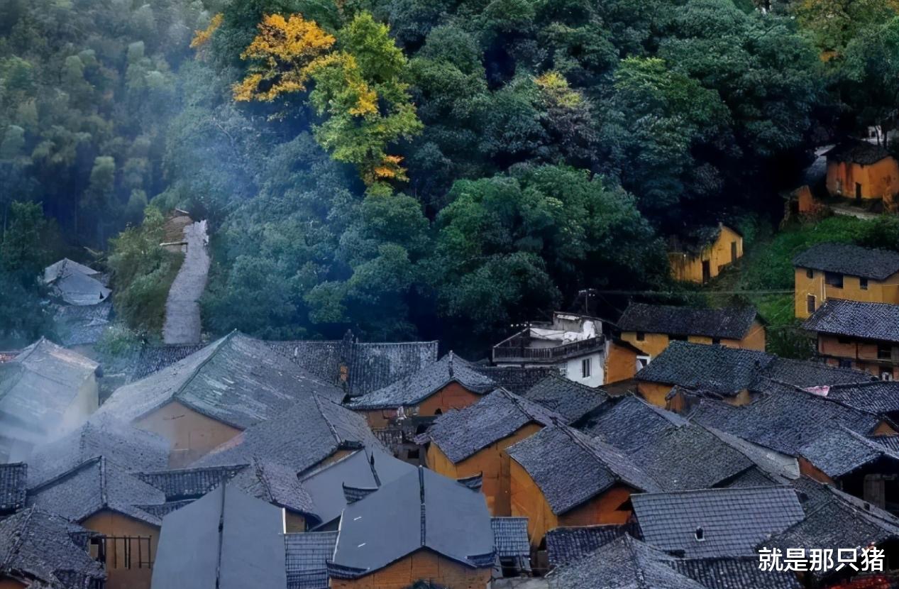 国家公园|浙江县域样板，可满足你对田园的向往，被誉为“最后的江南秘境”