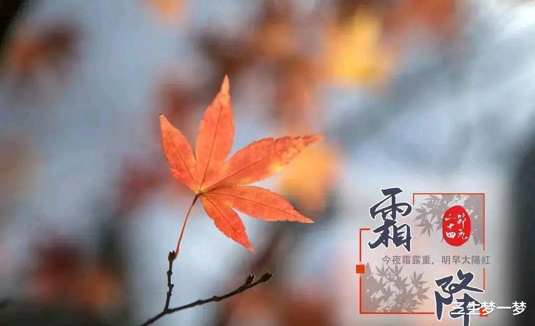 脾胃|霜降来临，建议男人：少吃韭菜和柿子，多吃4样，润燥营养不上火