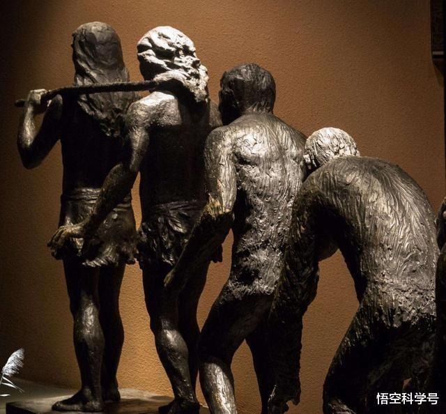 西方与东方的人体,哪个部位不同?为何没发生生殖隔离?