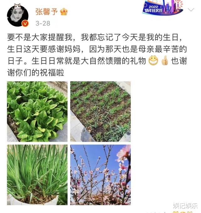 张馨予|知情人称何捷为了张馨予，在部队附近买房，其父母职业也曝光