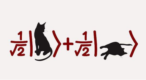 平行宇宙究竟是否存在?87年前,一只猫给出了答案