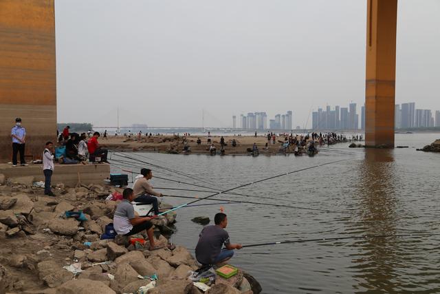 原神|武汉江边聚集上百人垂钓成网红打卡地:多名违规垂钓人员被查