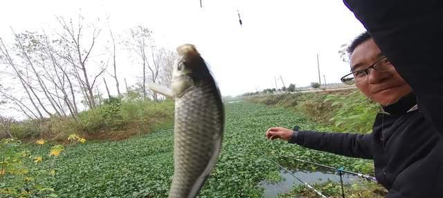 饵料|浅谈冬季野钓线组与抓口，粗了真的钓不到鱼？