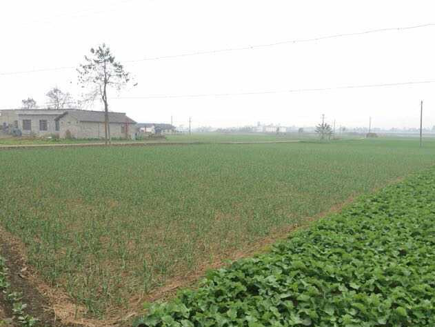 老爸盖房不装修，毛坯房一住15年，但全村没一人敢嘲笑！