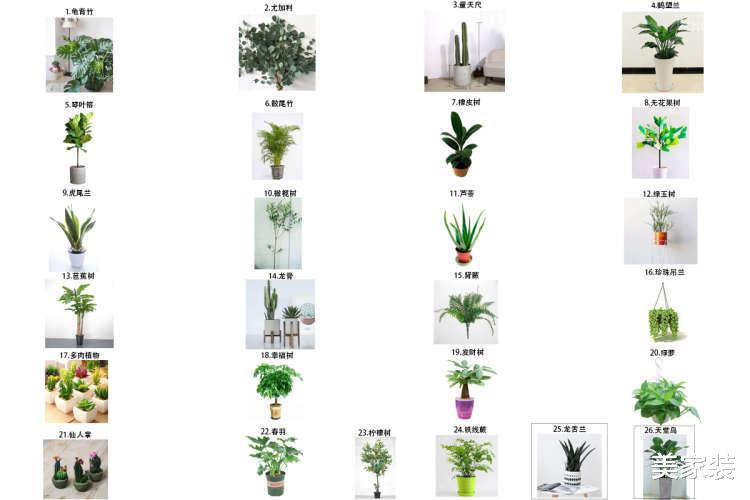 音乐人士的家,运用黑白色调搭配,创造温馨舒适之家