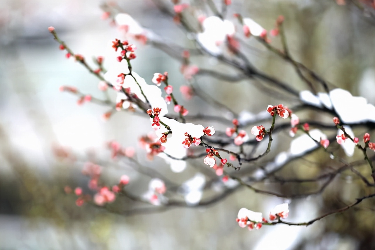 婚姻|说到底，女人这辈子能依靠的，只有一个人