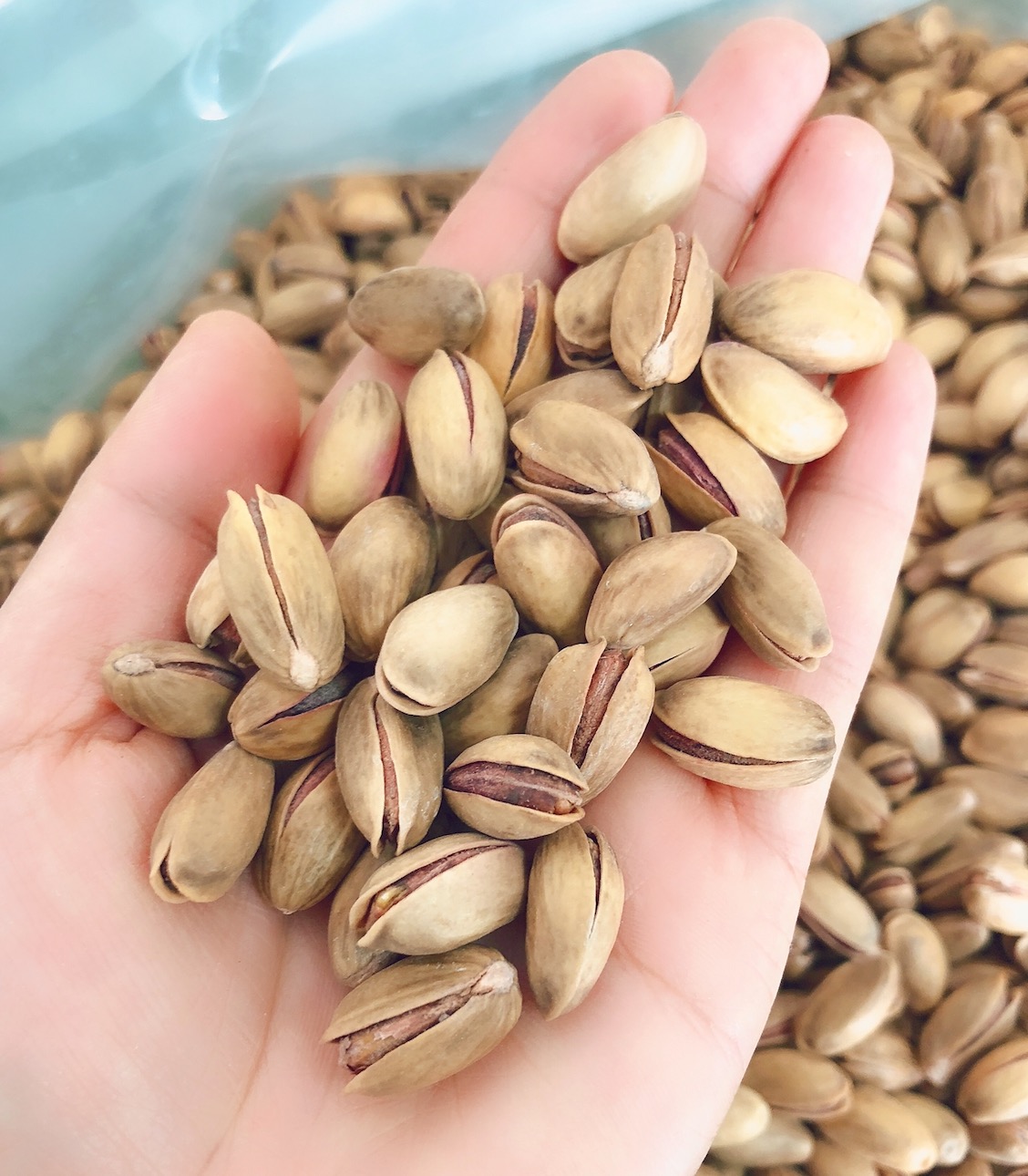 过年买开心果,“黄壳”和“白壳”哪种好?搞懂再买不吃亏