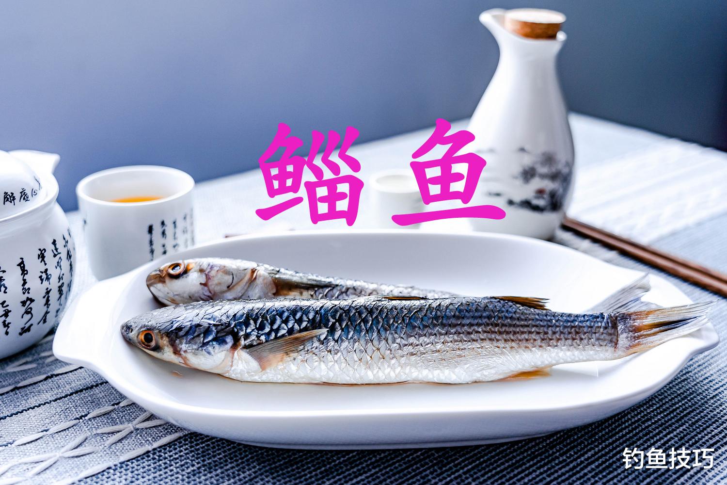 鲻鱼|鲻鱼最喜欢吃什么味型的食物？鲻鱼的觅食习性和垂钓方法