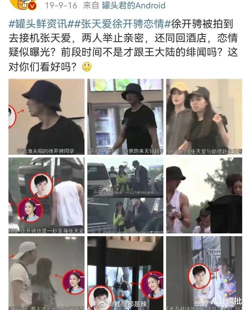 张天爱|张天爱徐开骋，真的在一起？