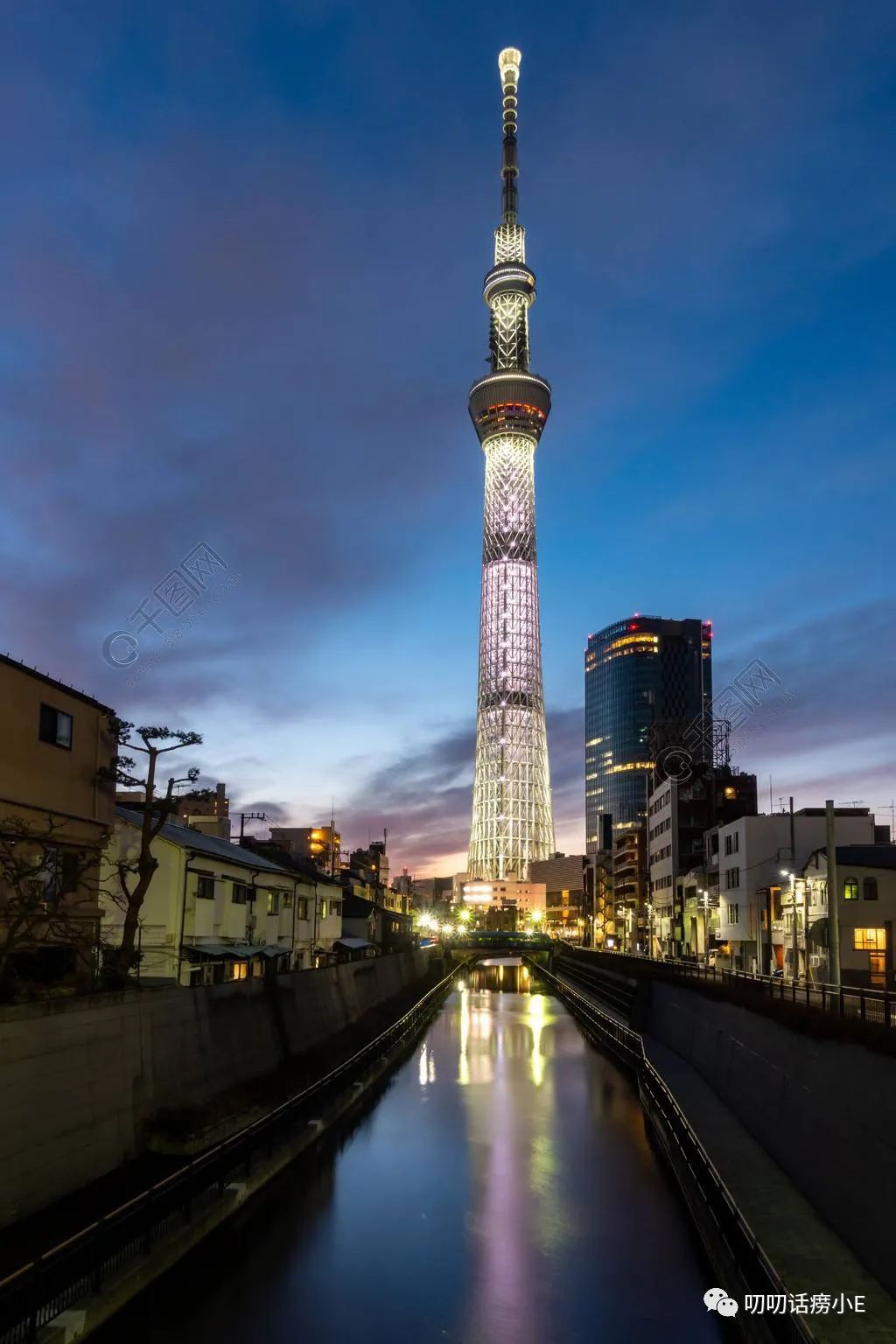 云南|到日本去玩不去都后悔的地方