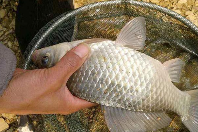 大连|钓鱼人三大快乐事，第三件你保证不敢告诉别人，你中招没有